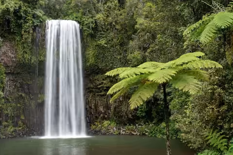 Waterfall in the rainforest